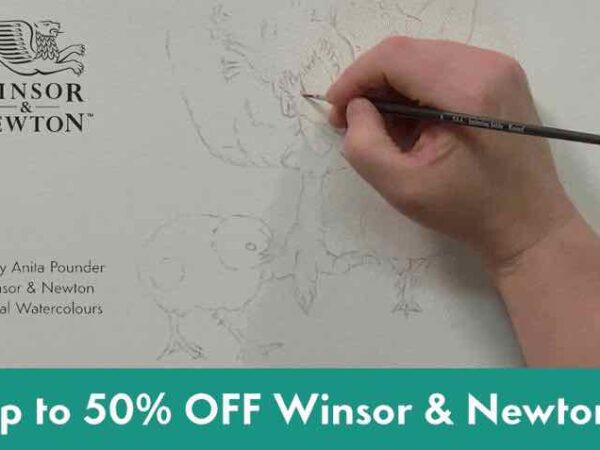 SAA: Save up to 50% on watercolour from Winsor & Newton