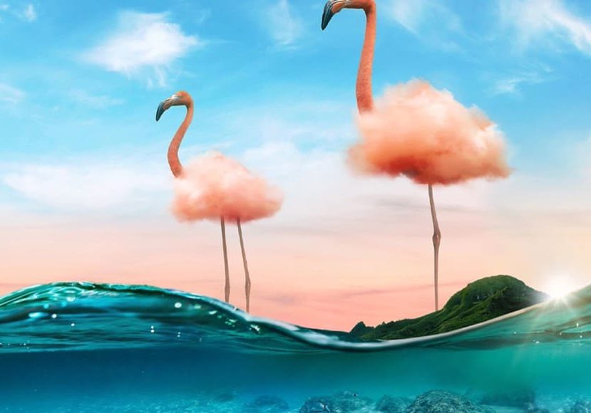 Adobe Creative Cloud apps and pricing plans