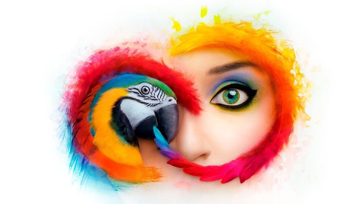 Adobe Creative Cloud workflow across devices for creative professionals