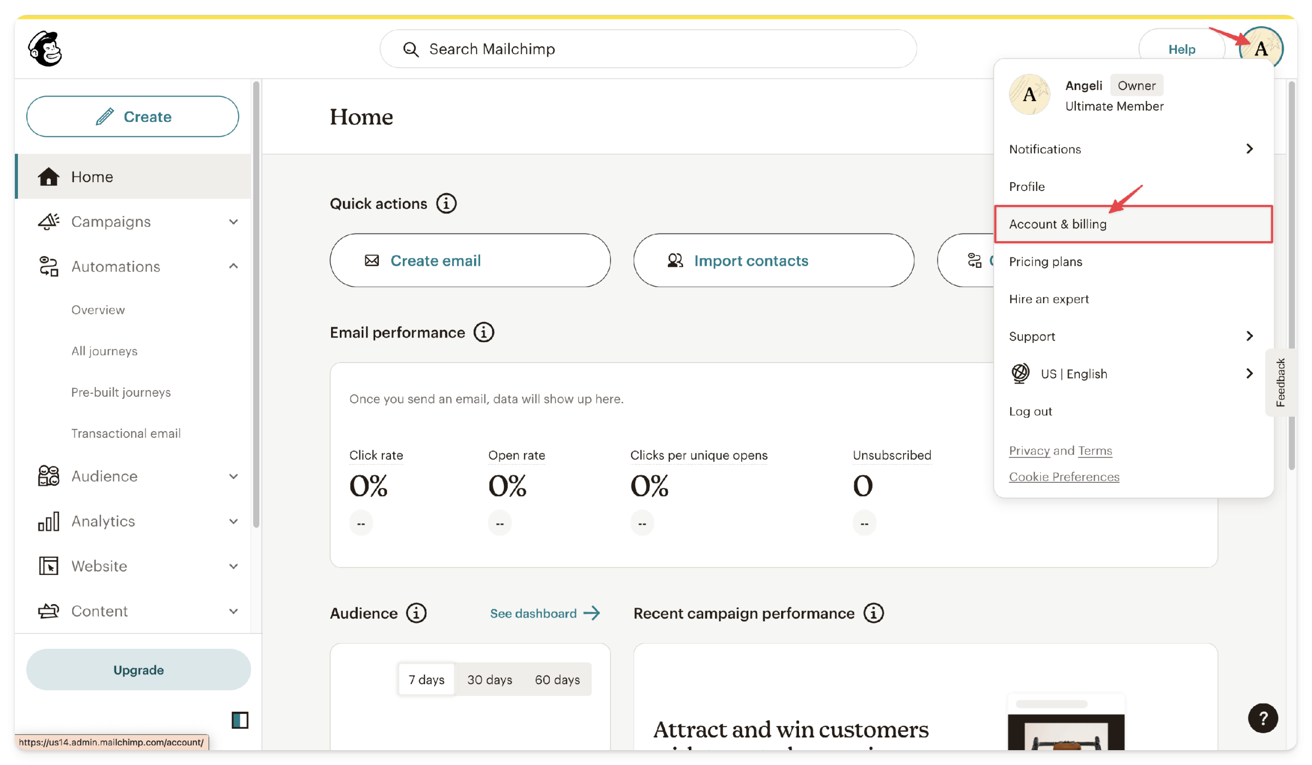 Mailchimp email marketing platform for artists
