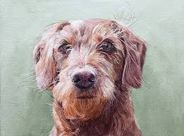 Rachel Drake pet portrait artist
