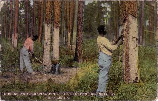 What is turpentine oil painting solvent UK