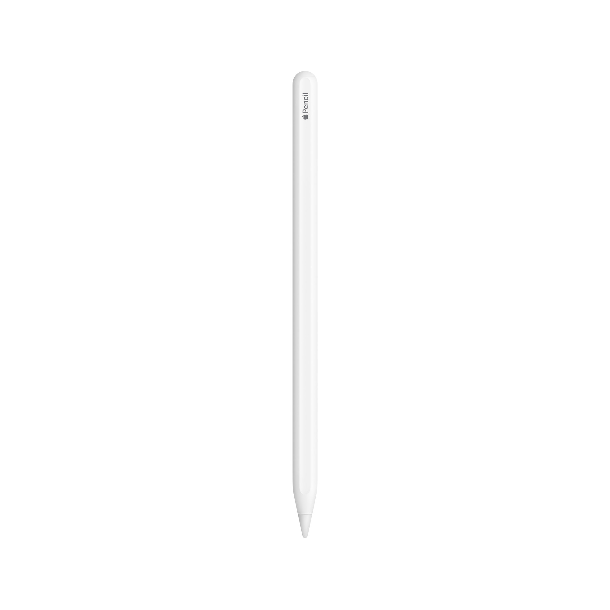 Apple Pencil 2nd generation for iPad drawing