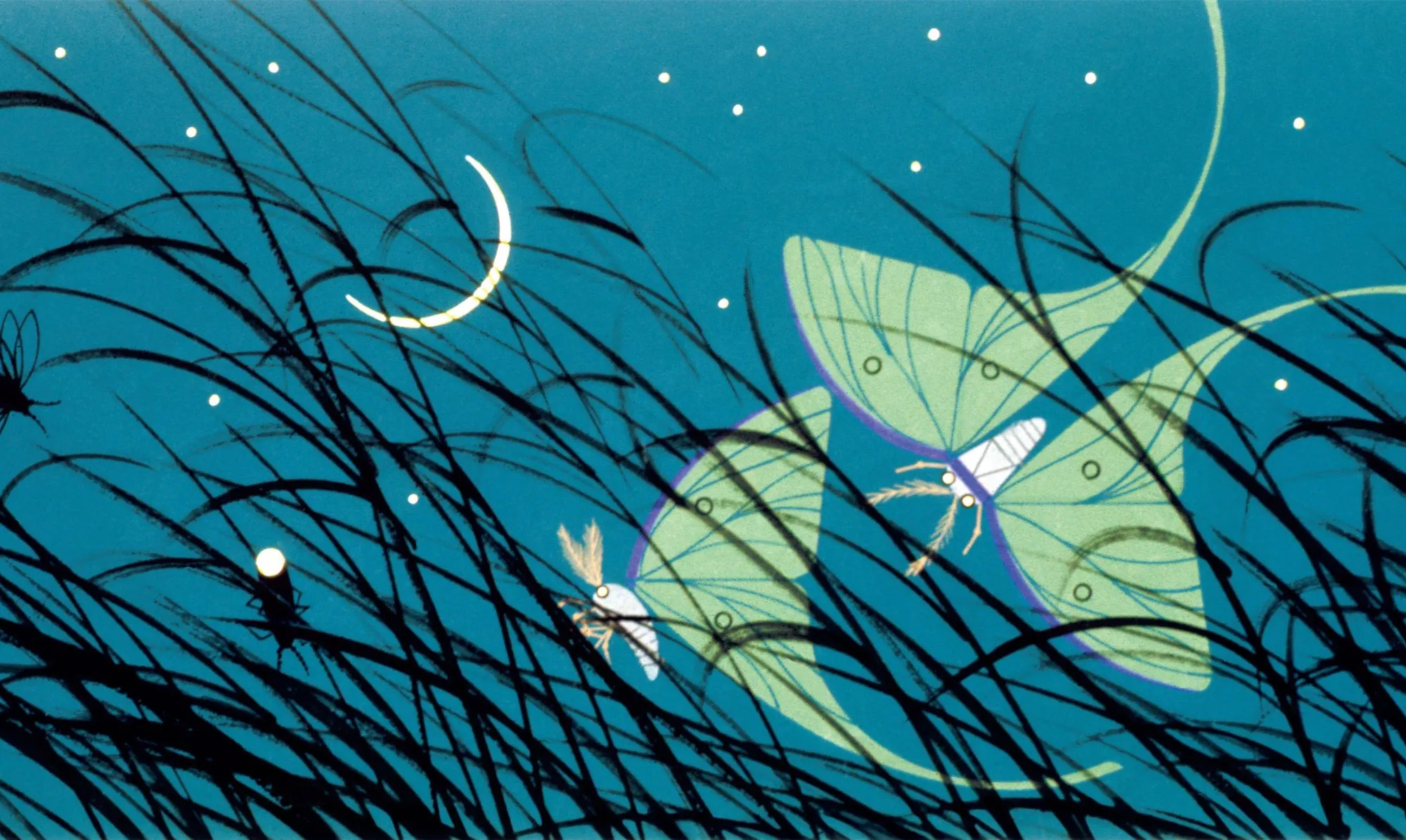 Charley Harper