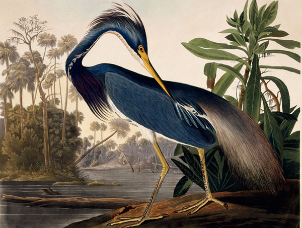 John James Audubon