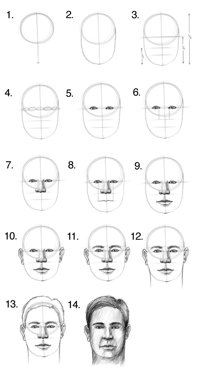 How to draw a head proportions for beginners