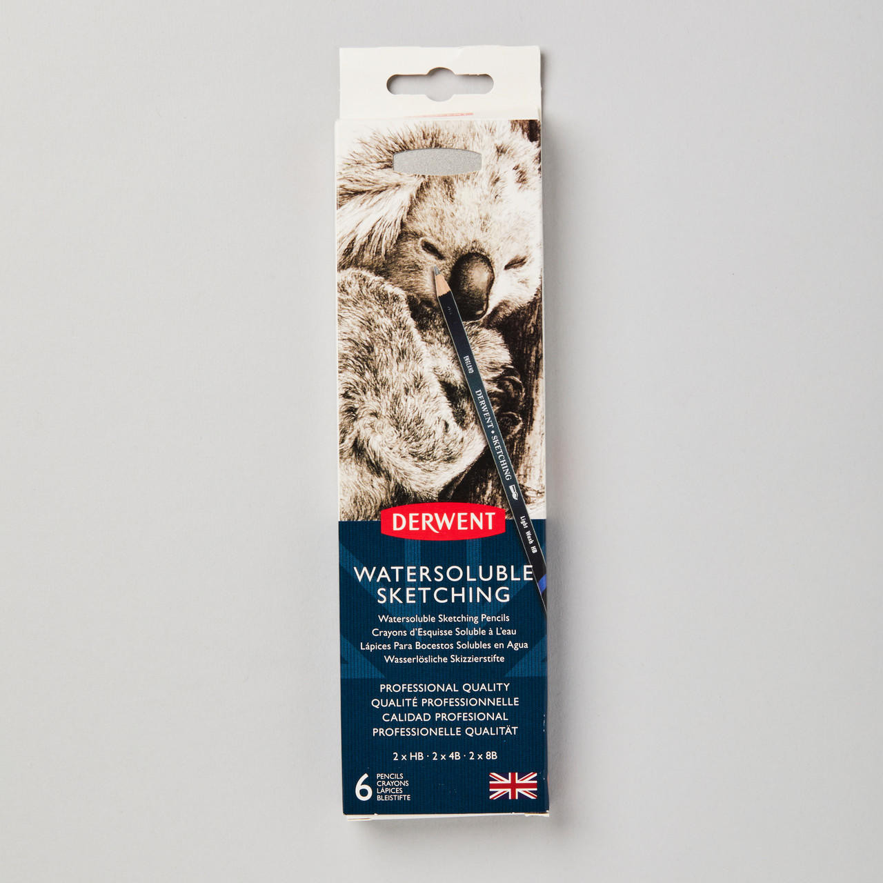 Derwent Watersoluble Sketching Pencils Set of 6, Black