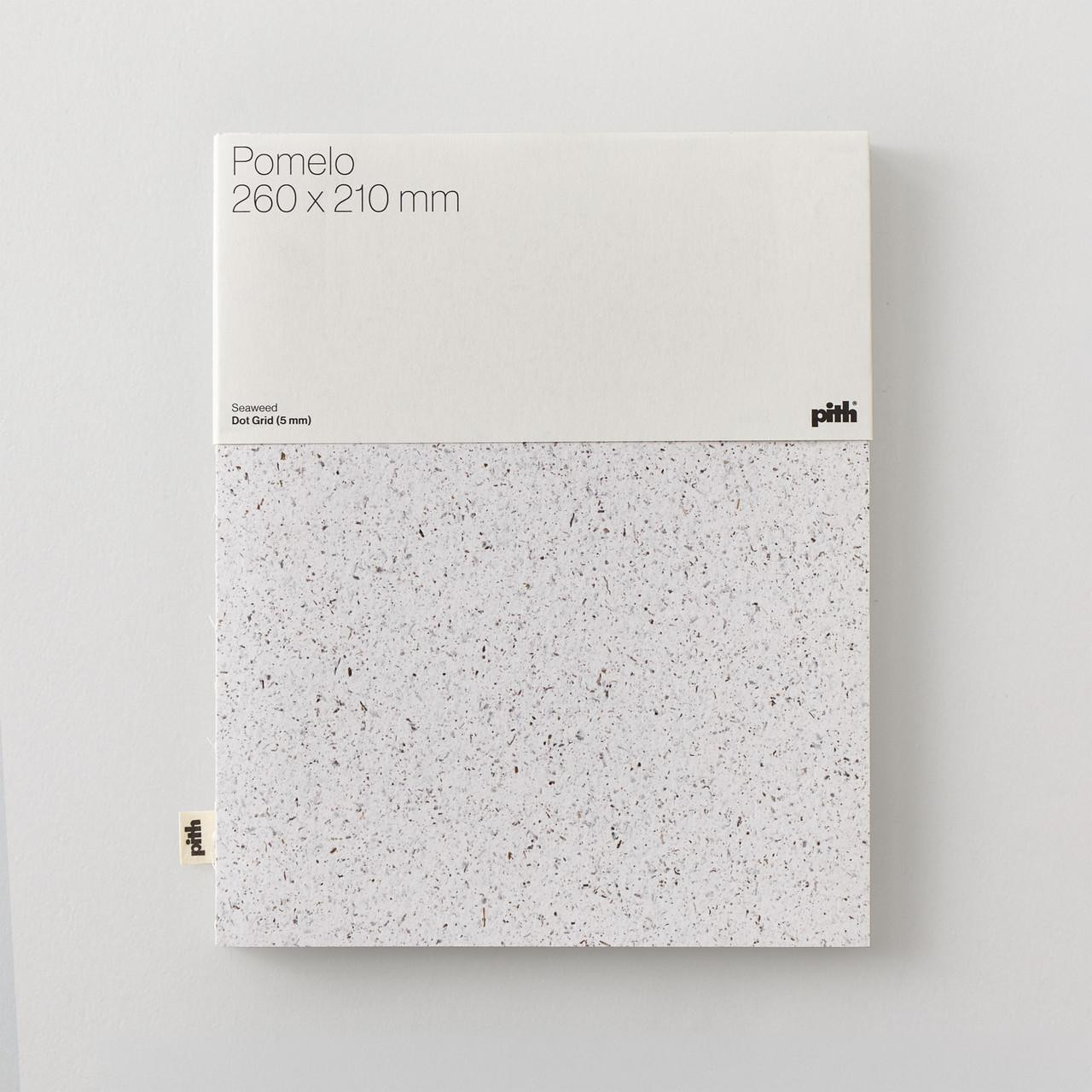 Pith Pomelo Dot Grid Notebook – 156 Pages, Seaweed Cover