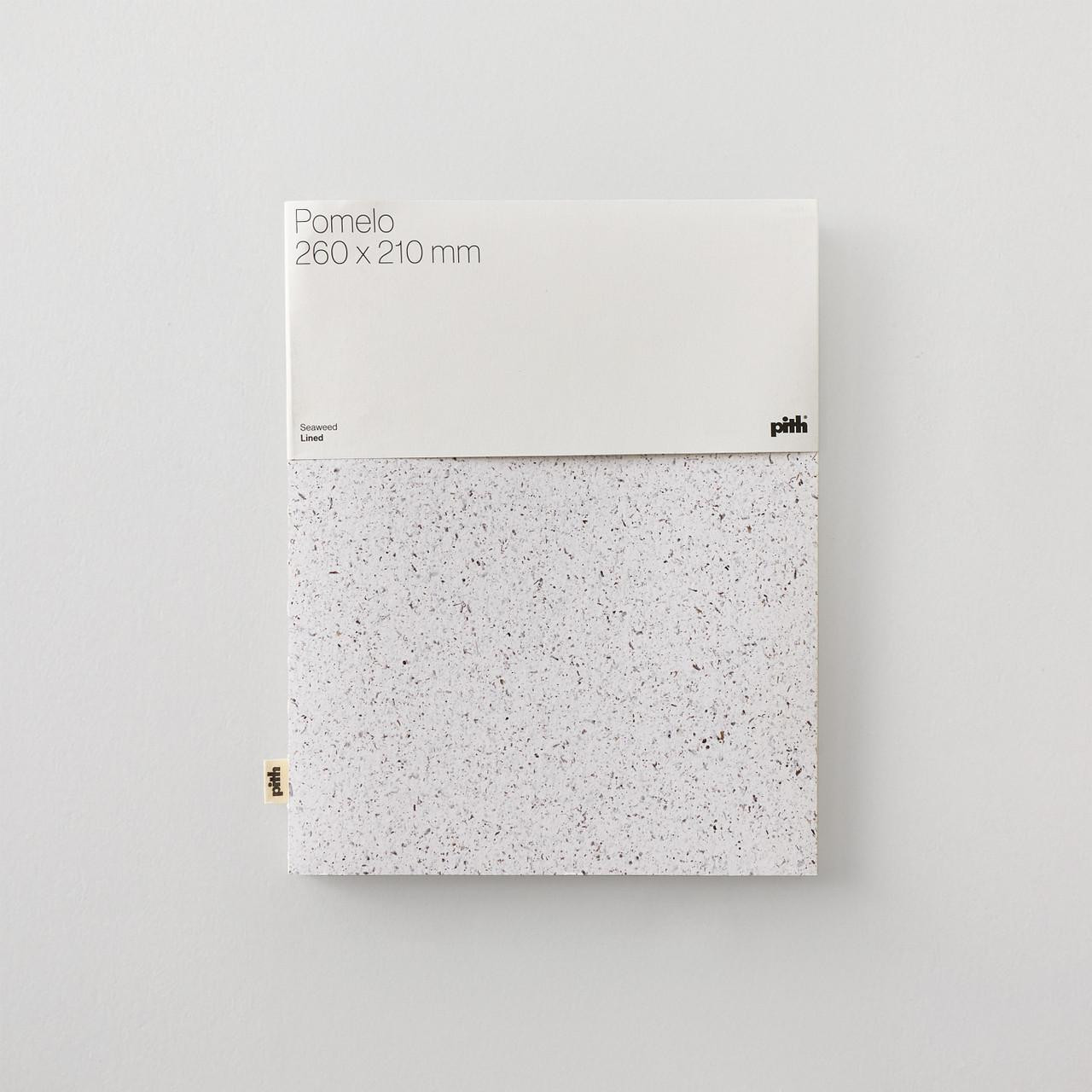 Pith Pomelo Seaweed Notebook, 156 Pages, A4 Size, UK Made