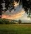 Jackson’s Art: PLEIN AIR SALE