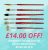 The Art Shop Skipton: Brush Set Special Offer – £14.00 Off