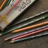 Cass Art: Winsor & Newton Canvas Sale!